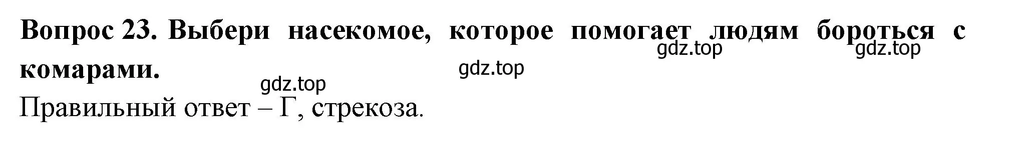 Решение номер 23 (страница 62) гдз по окружающему миру 2 класс Плешаков, Новицкая, тесты