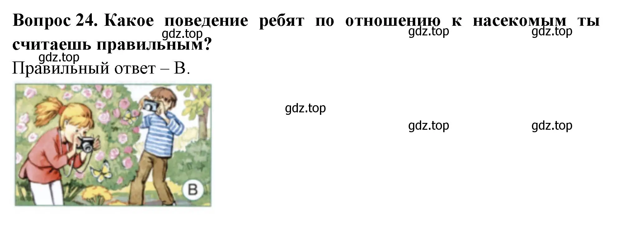 Решение номер 24 (страница 62) гдз по окружающему миру 2 класс Плешаков, Новицкая, тесты