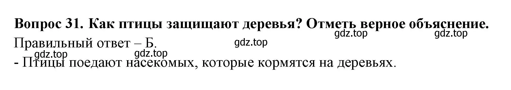 Решение номер 31 (страница 64) гдз по окружающему миру 2 класс Плешаков, Новицкая, тесты