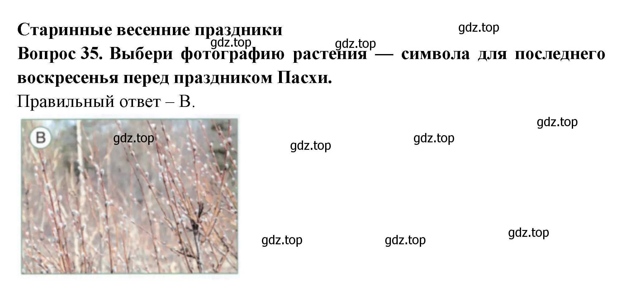 Решение номер 35 (страница 66) гдз по окружающему миру 2 класс Плешаков, Новицкая, тесты