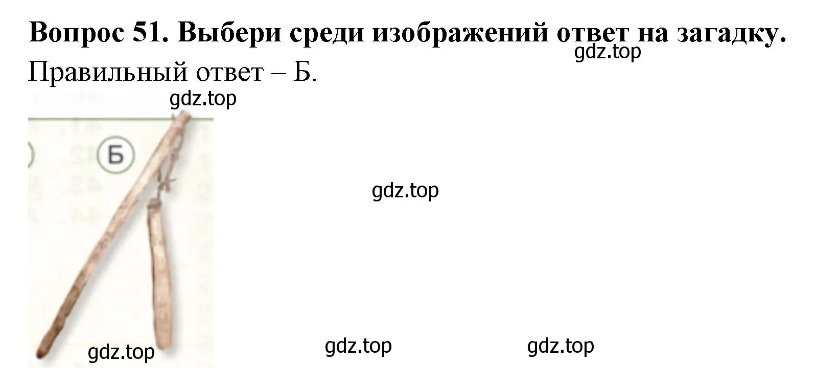 Решение номер 51 (страница 73) гдз по окружающему миру 2 класс Плешаков, Новицкая, тесты