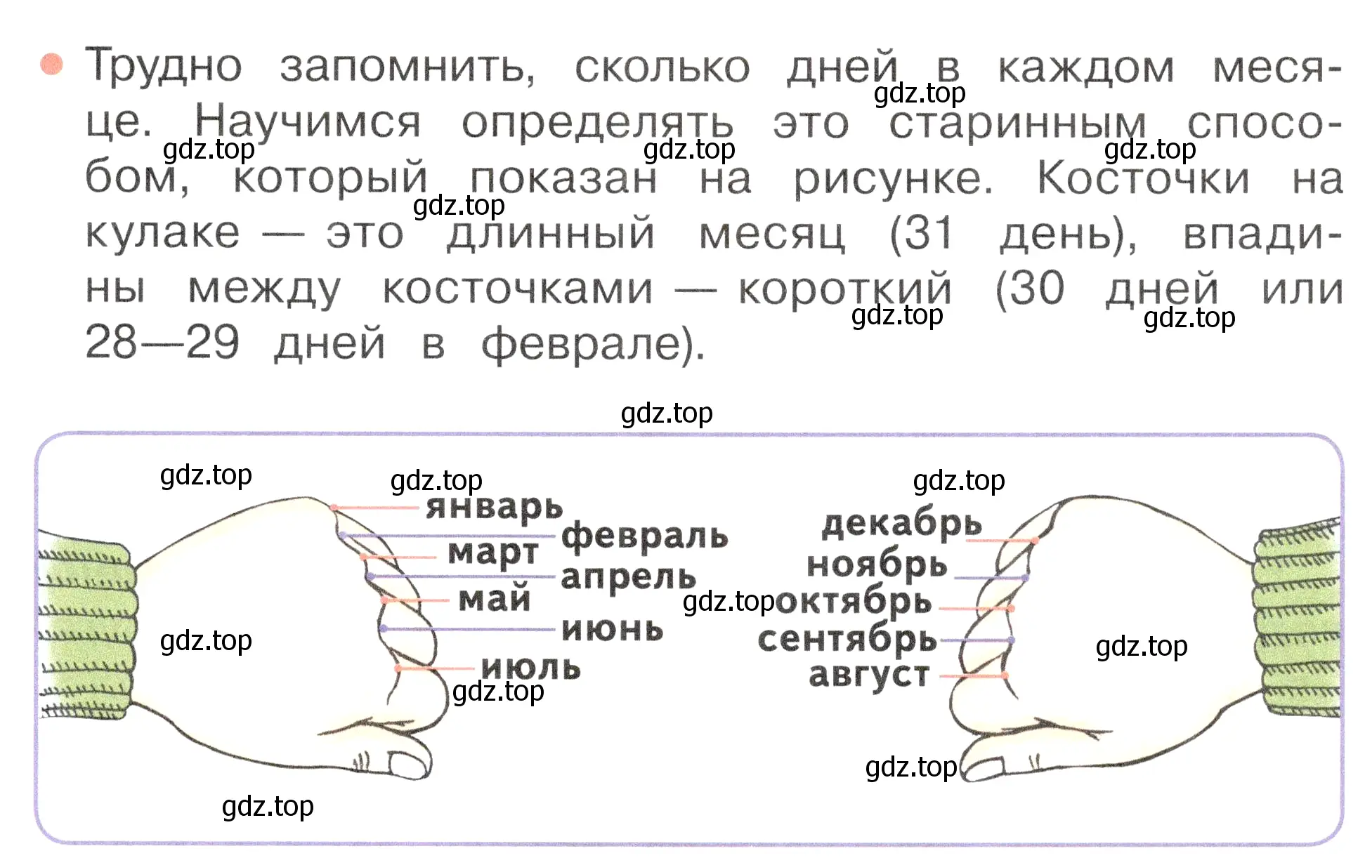 Условие номер 4 (страница 37) гдз по окружающему миру 2 класс Плешаков, Новицкая, учебник 1 часть