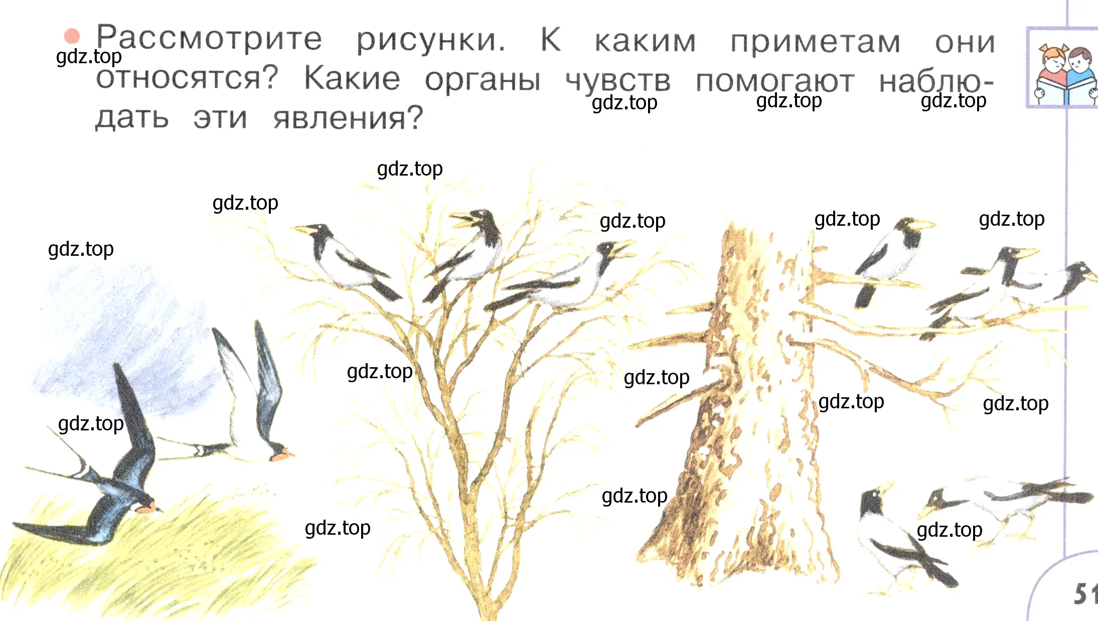 Условие номер 1 (страница 51) гдз по окружающему миру 2 класс Плешаков, Новицкая, учебник 1 часть