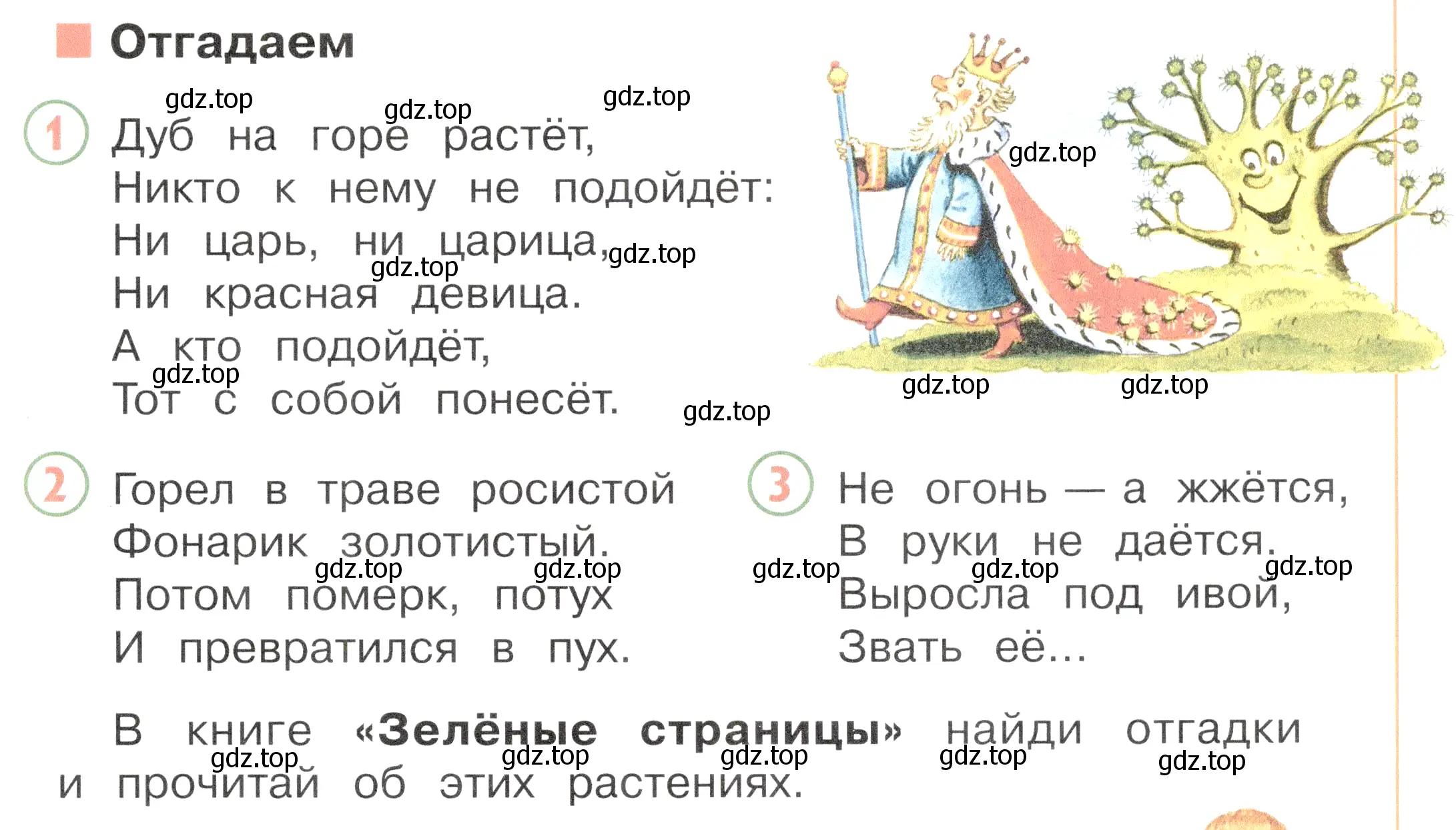 Условие номер Отгадаем (страница 79) гдз по окружающему миру 2 класс Плешаков, Новицкая, учебник 1 часть