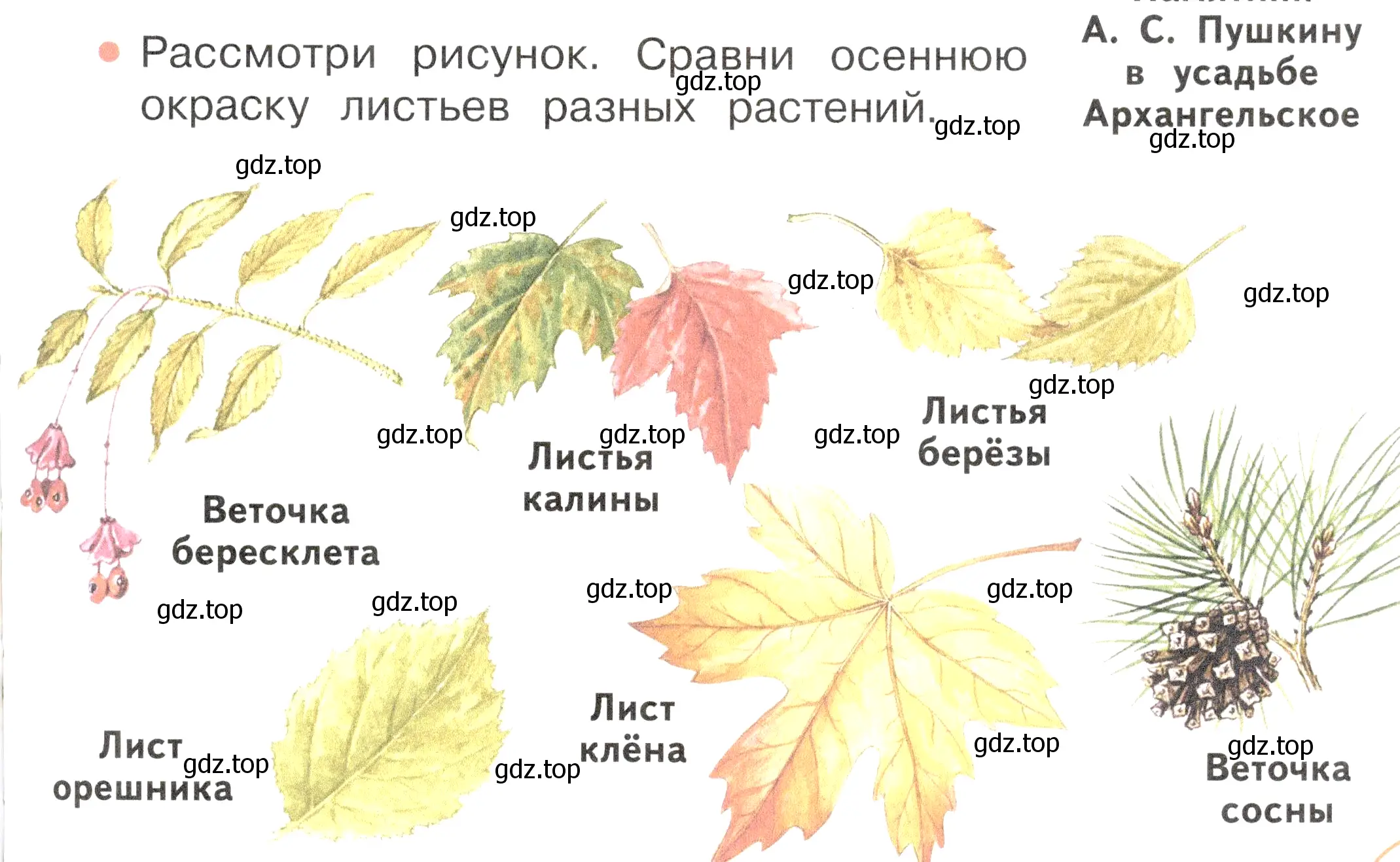 Условие номер 1 (страница 85) гдз по окружающему миру 2 класс Плешаков, Новицкая, учебник 1 часть