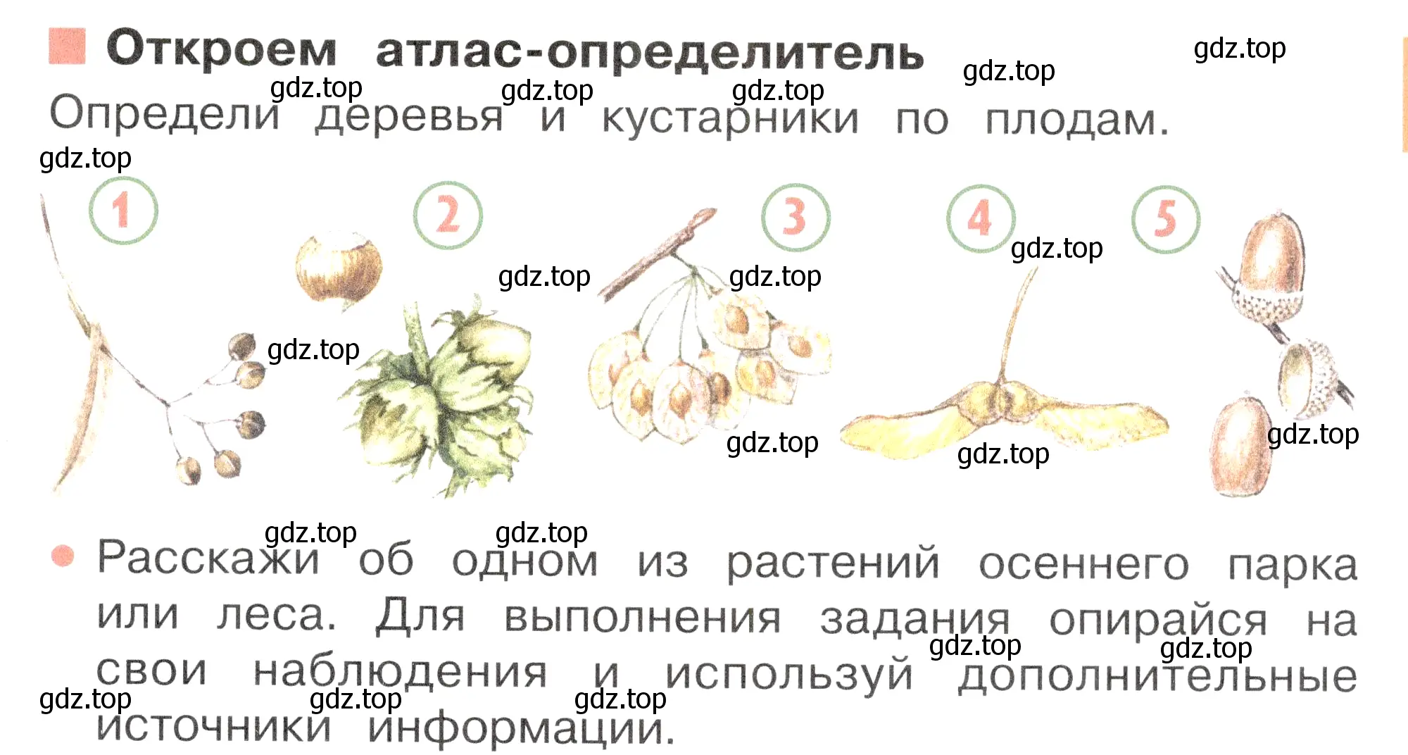 Условие номер Откроем атлас-определитель (страница 87) гдз по окружающему миру 2 класс Плешаков, Новицкая, учебник 1 часть