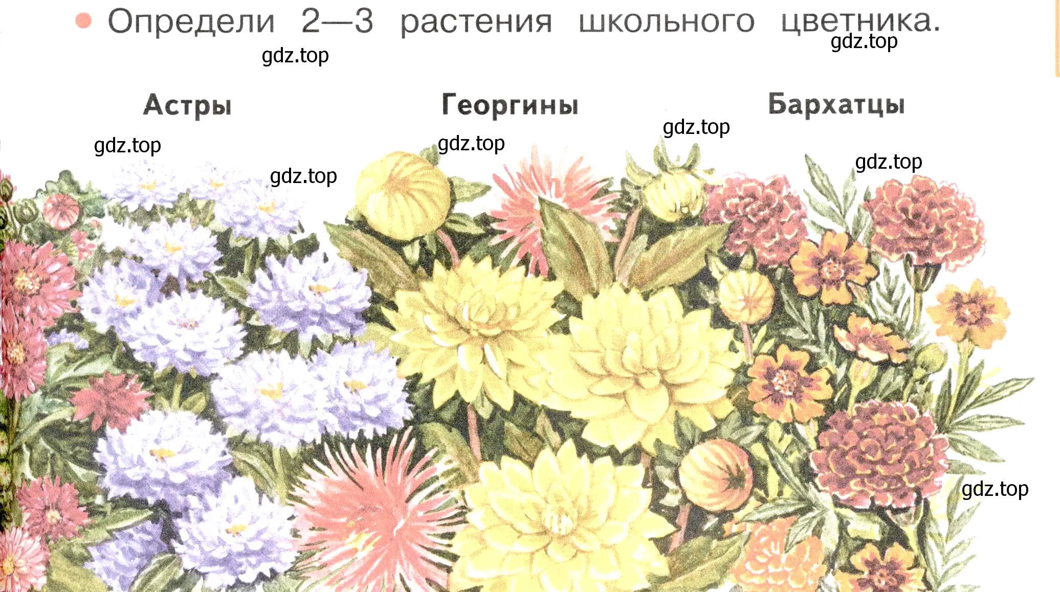 Условие номер 2 (страница 89) гдз по окружающему миру 2 класс Плешаков, Новицкая, учебник 1 часть