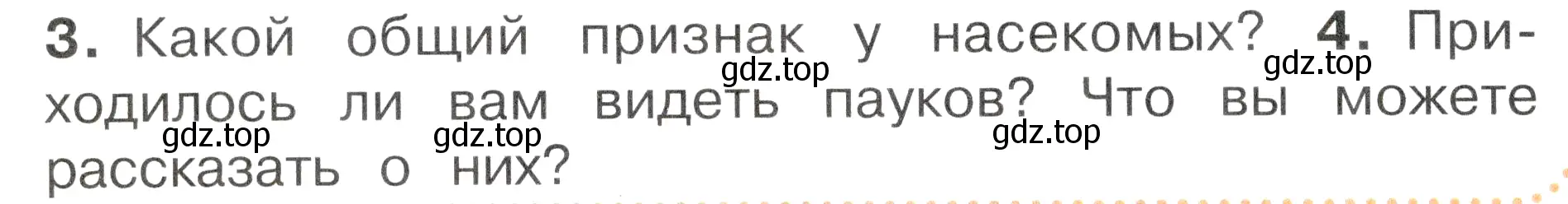 Условие номер 4 (страница 92) гдз по окружающему миру 2 класс Плешаков, Новицкая, учебник 1 часть