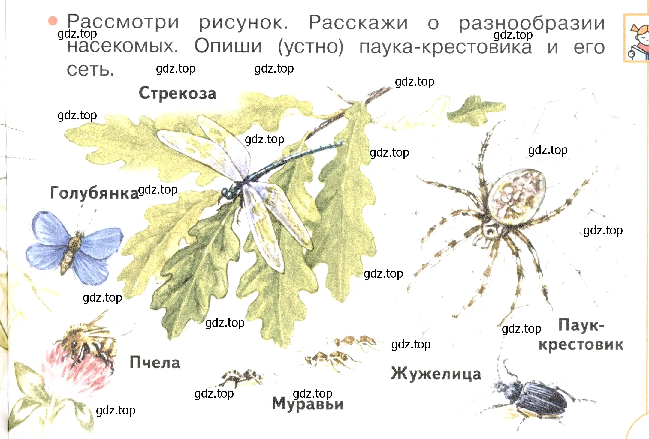 Условие номер 1 (страница 93) гдз по окружающему миру 2 класс Плешаков, Новицкая, учебник 1 часть