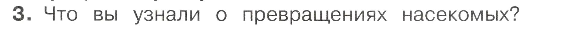 Условие номер 3 (страница 95) гдз по окружающему миру 2 класс Плешаков, Новицкая, учебник 1 часть