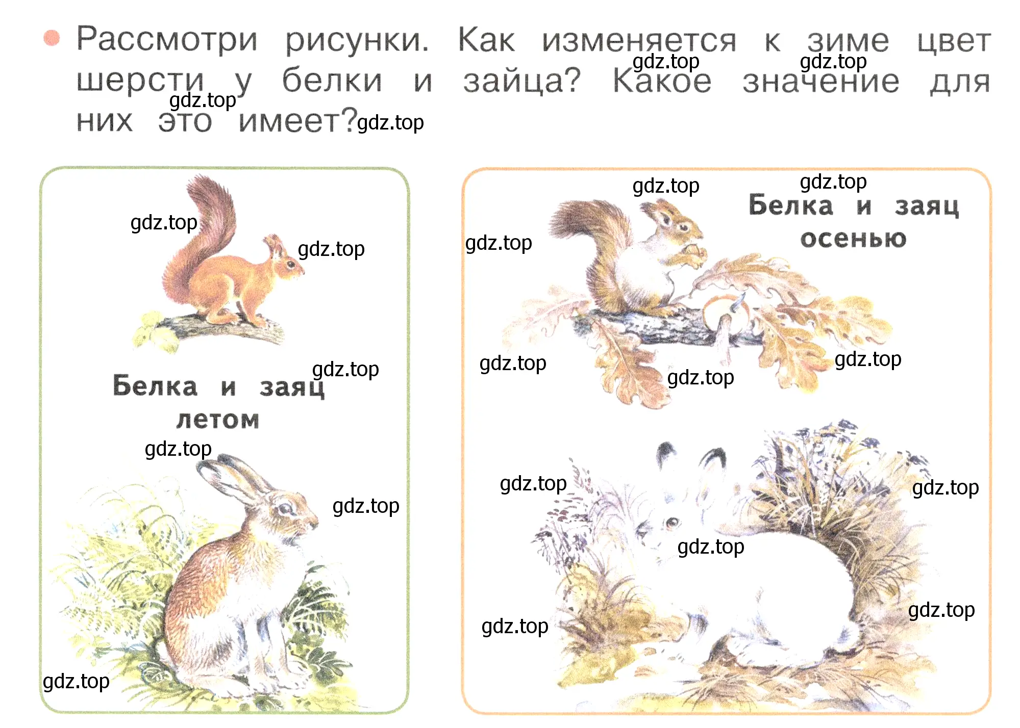 Условие номер 1 (страница 101) гдз по окружающему миру 2 класс Плешаков, Новицкая, учебник 1 часть