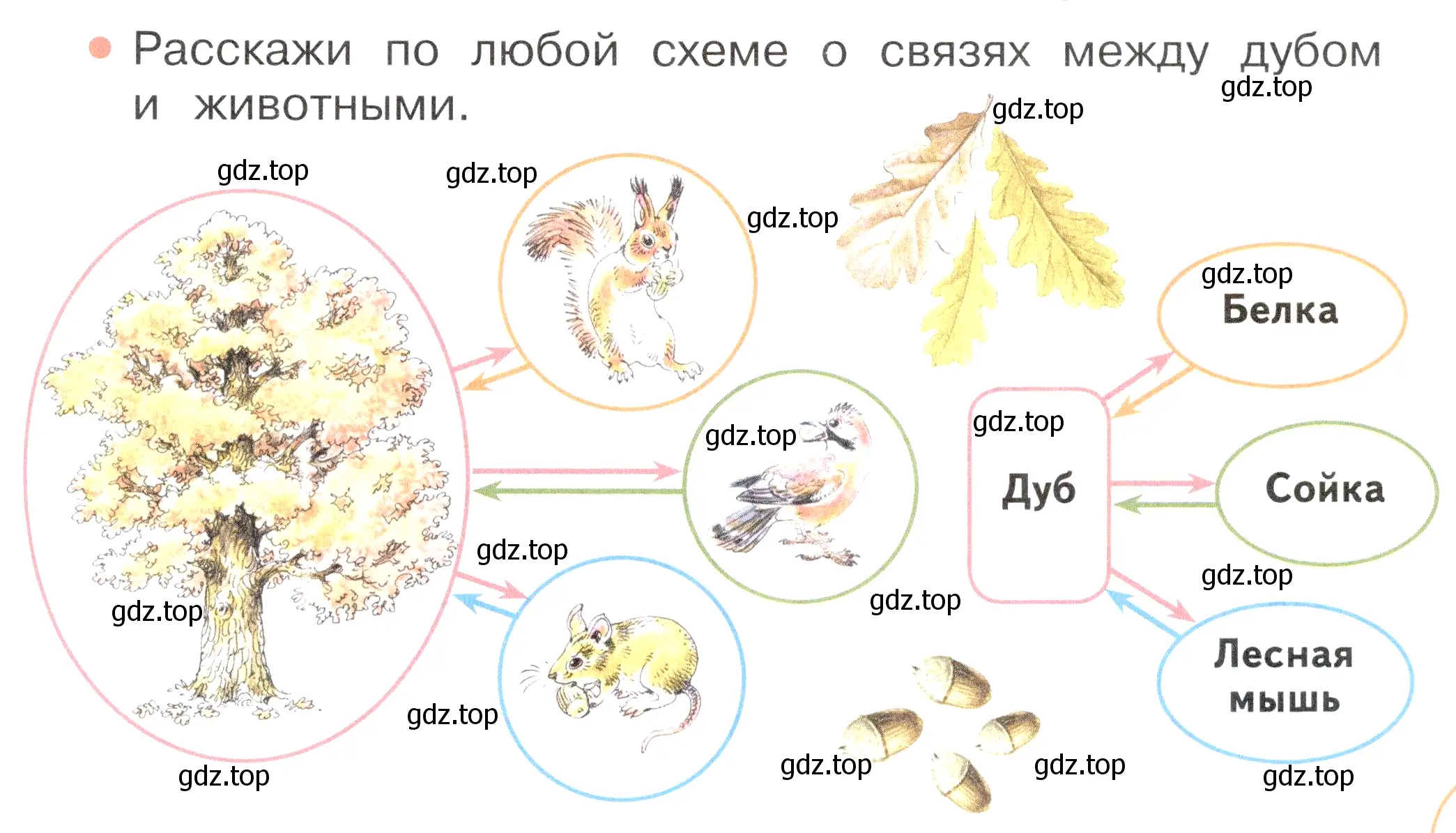 Условие номер 2 (страница 105) гдз по окружающему миру 2 класс Плешаков, Новицкая, учебник 1 часть