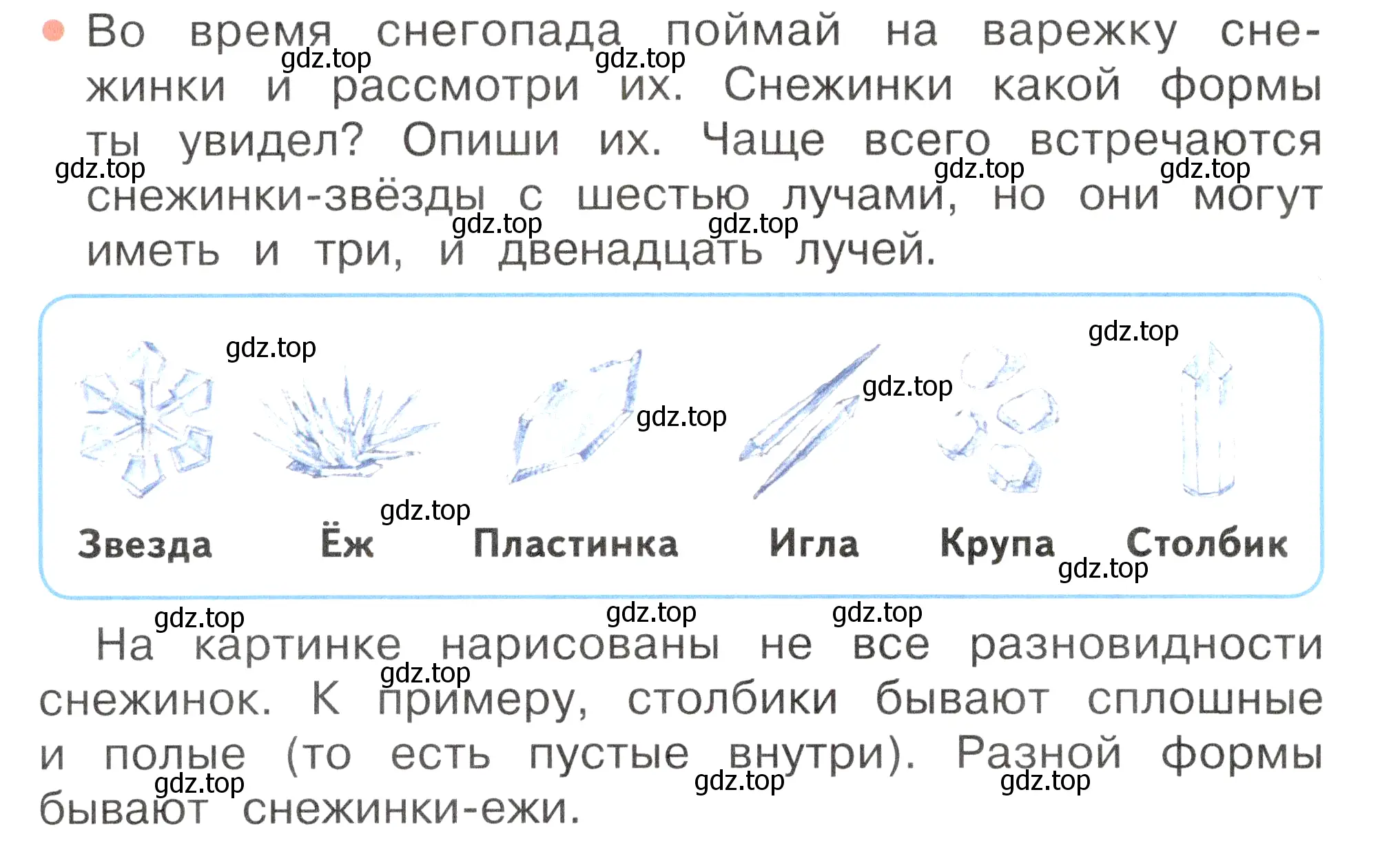 Условие номер 1 (страница 14) гдз по окружающему миру 2 класс Плешаков, Новицкая, учебник 2 часть