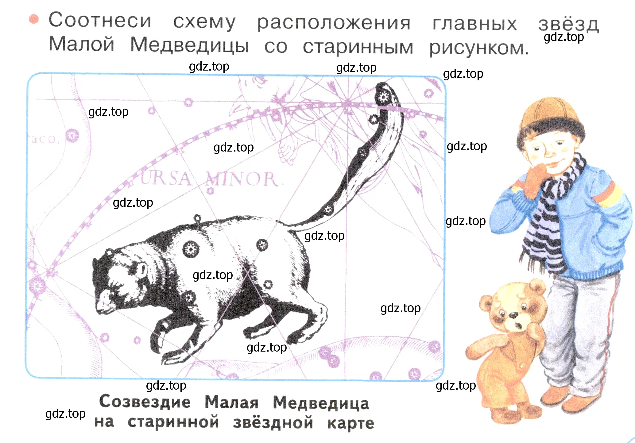 Условие номер 3 (страница 18) гдз по окружающему миру 2 класс Плешаков, Новицкая, учебник 2 часть