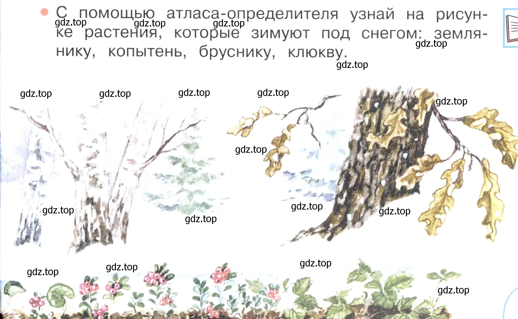 Условие номер 2 (страница 21) гдз по окружающему миру 2 класс Плешаков, Новицкая, учебник 2 часть