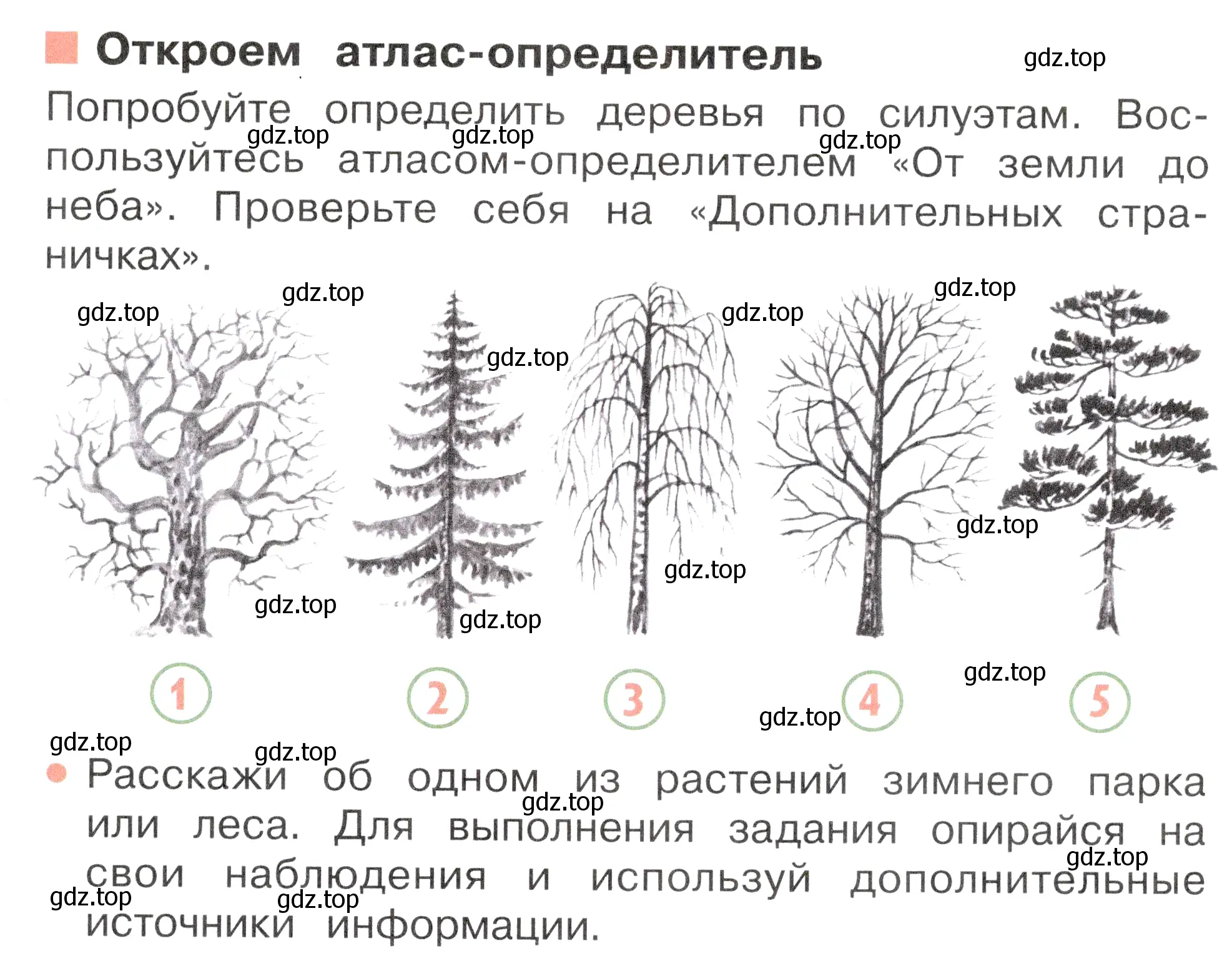 Условие номер Откроем атлас-определитель (страница 23) гдз по окружающему миру 2 класс Плешаков, Новицкая, учебник 2 часть