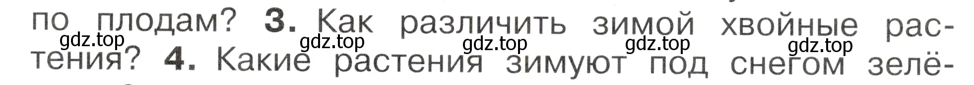 Условие номер 3 (страница 23) гдз по окружающему миру 2 класс Плешаков, Новицкая, учебник 2 часть