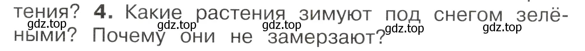 Условие номер 4 (страница 23) гдз по окружающему миру 2 класс Плешаков, Новицкая, учебник 2 часть