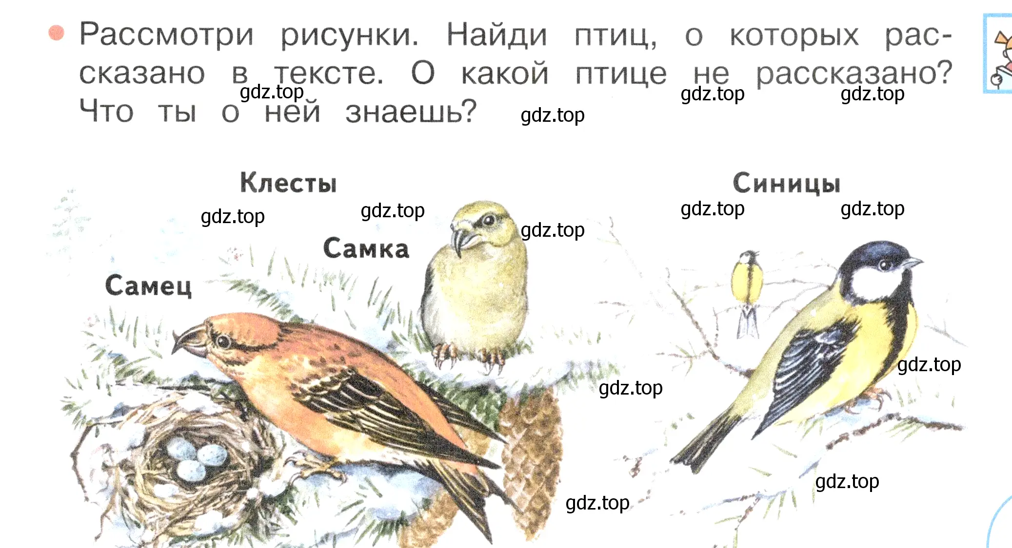 Условие номер 1 (страница 29) гдз по окружающему миру 2 класс Плешаков, Новицкая, учебник 2 часть