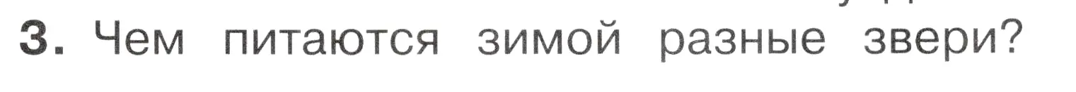 Условие номер 3 (страница 31) гдз по окружающему миру 2 класс Плешаков, Новицкая, учебник 2 часть