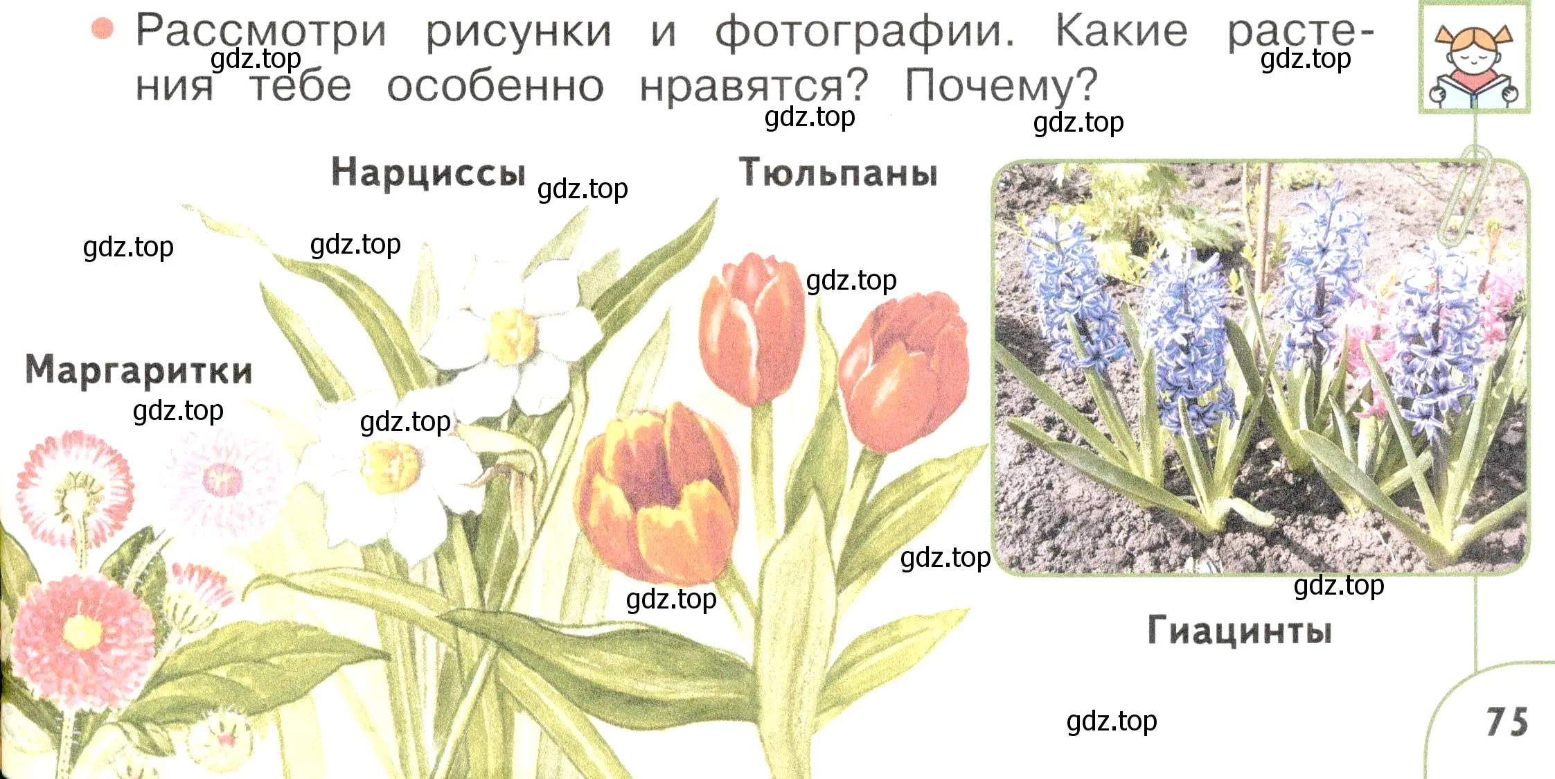 Условие номер 1 (страница 75) гдз по окружающему миру 2 класс Плешаков, Новицкая, учебник 2 часть