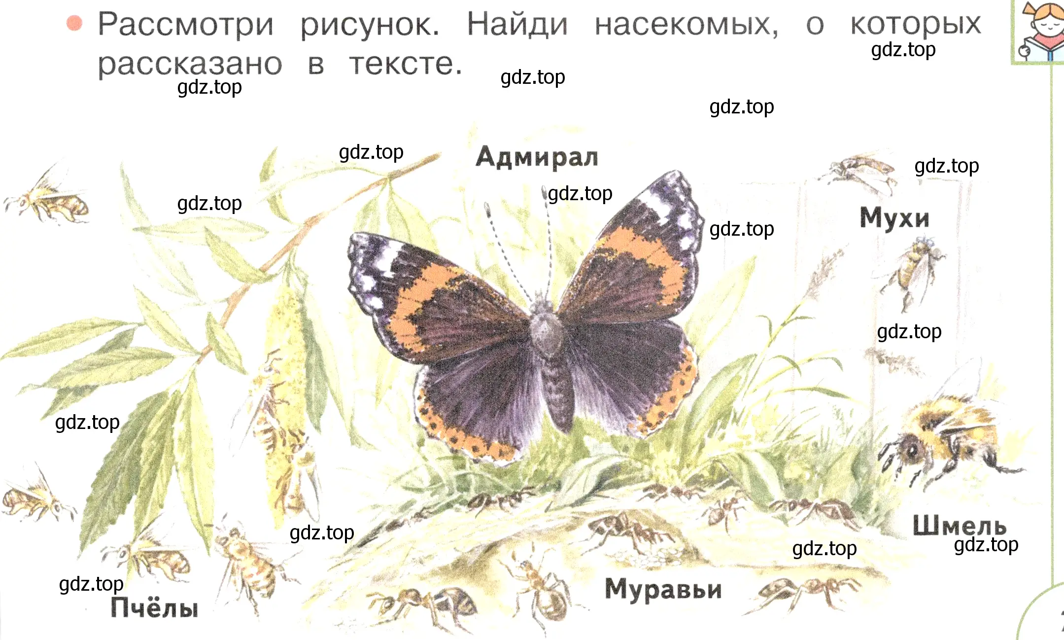 Условие номер 1 (страница 79) гдз по окружающему миру 2 класс Плешаков, Новицкая, учебник 2 часть