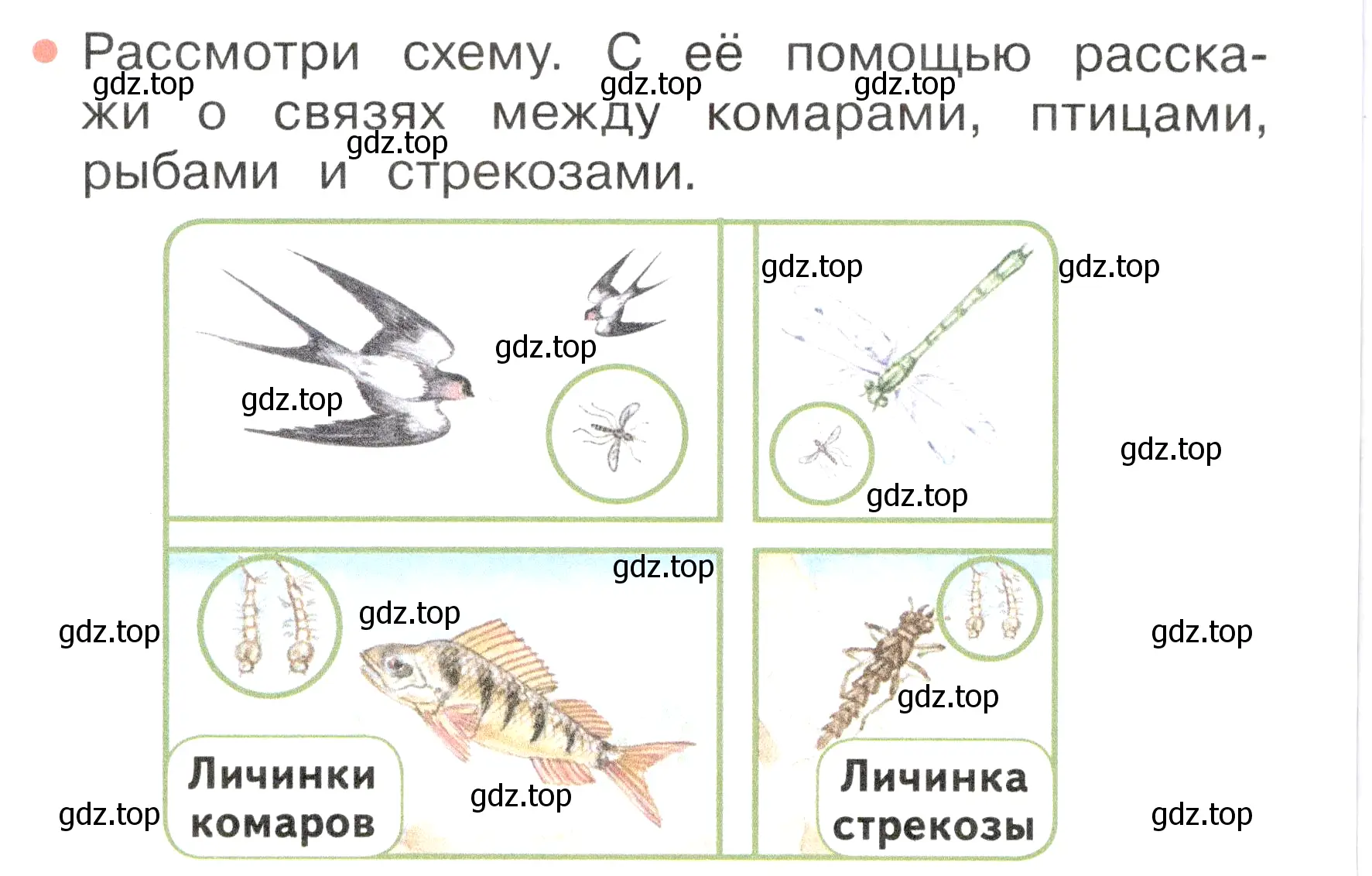 Условие номер 2 (страница 80) гдз по окружающему миру 2 класс Плешаков, Новицкая, учебник 2 часть