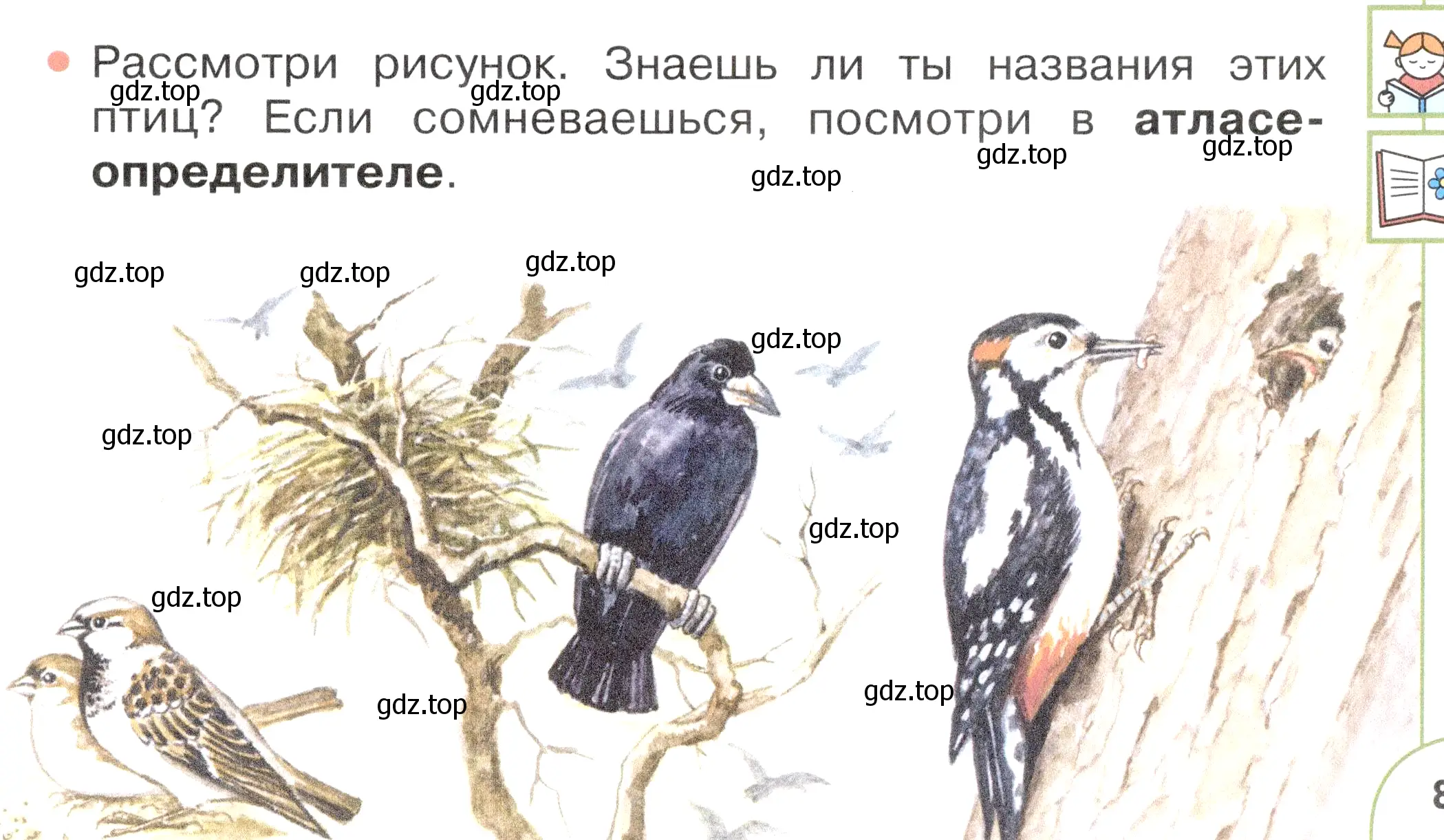 Условие номер 1 (страница 83) гдз по окружающему миру 2 класс Плешаков, Новицкая, учебник 2 часть