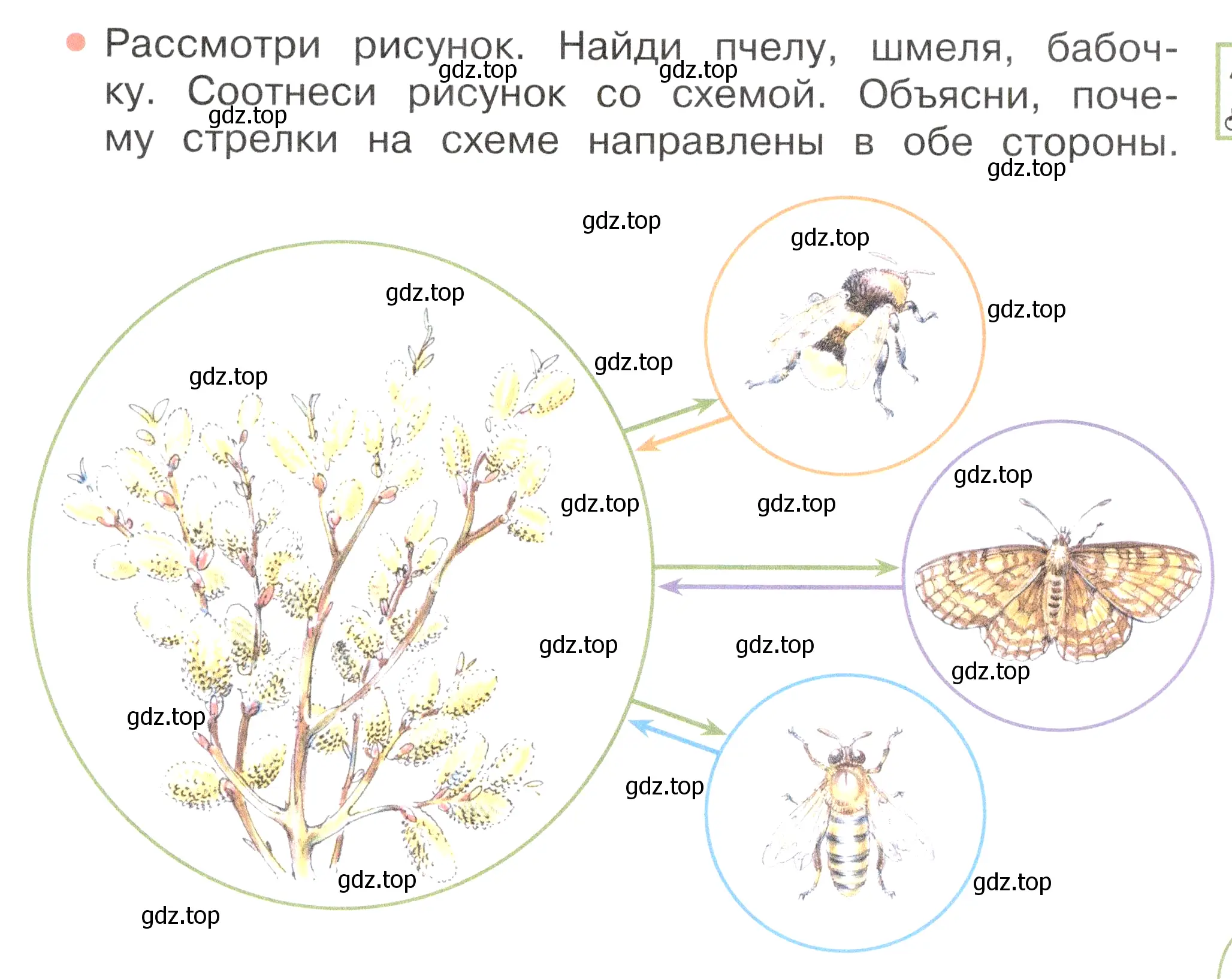 Условие номер 1 (страница 87) гдз по окружающему миру 2 класс Плешаков, Новицкая, учебник 2 часть