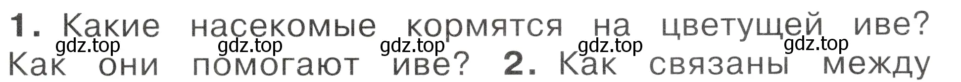 Условие номер 1 (страница 89) гдз по окружающему миру 2 класс Плешаков, Новицкая, учебник 2 часть