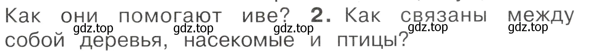 Условие номер 2 (страница 89) гдз по окружающему миру 2 класс Плешаков, Новицкая, учебник 2 часть