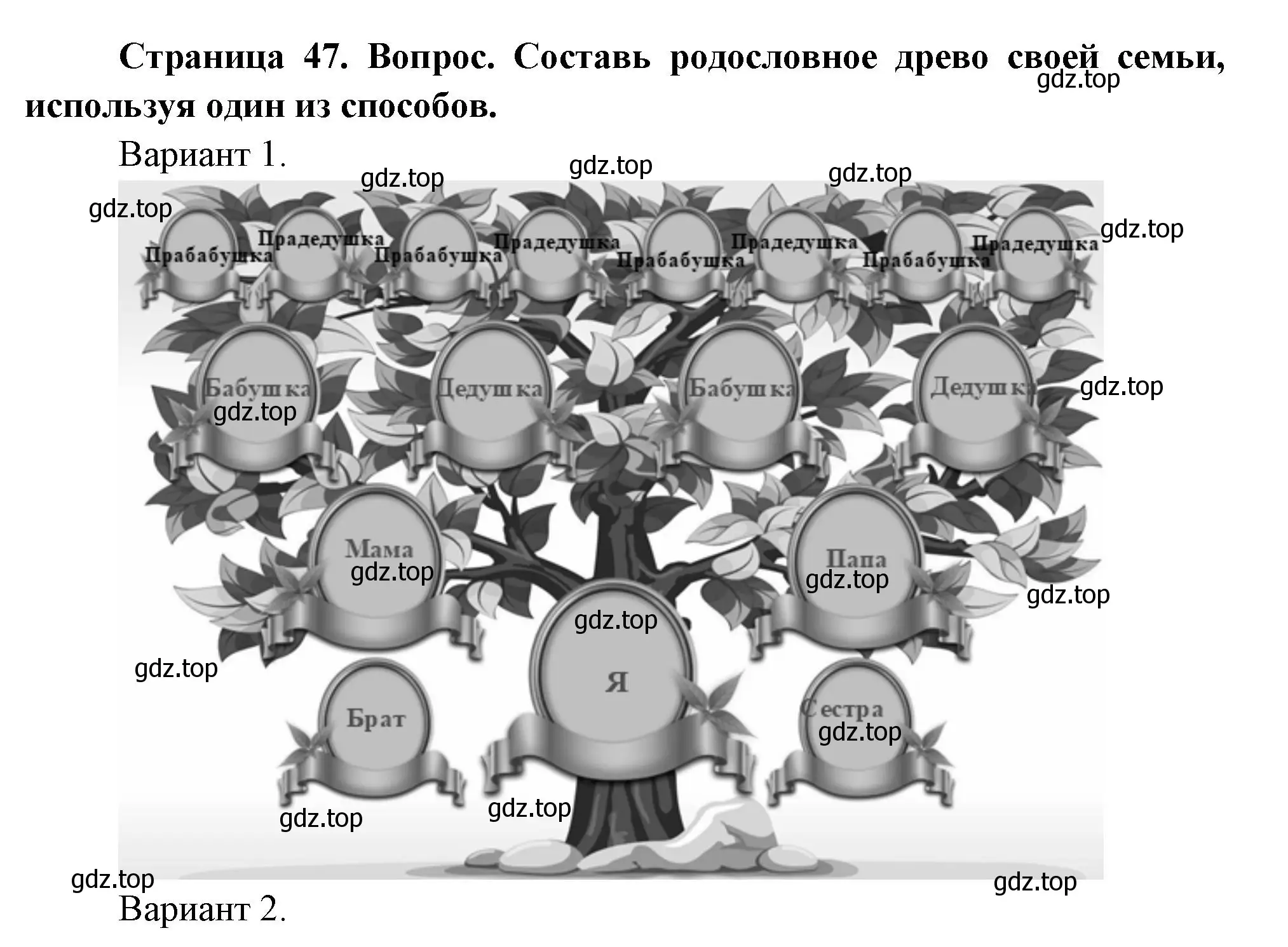 Решение номер 3 (страница 49) гдз по окружающему миру 2 класс Плешаков, Новицкая, учебник 1 часть