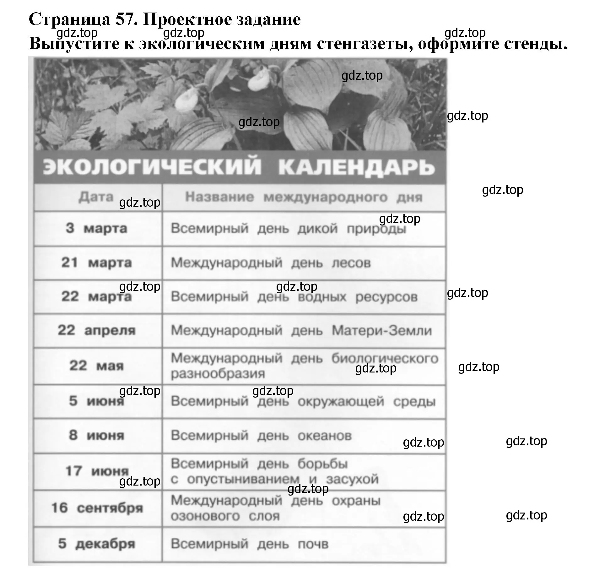 Решение номер 3 (страница 57) гдз по окружающему миру 2 класс Плешаков, Новицкая, учебник 1 часть