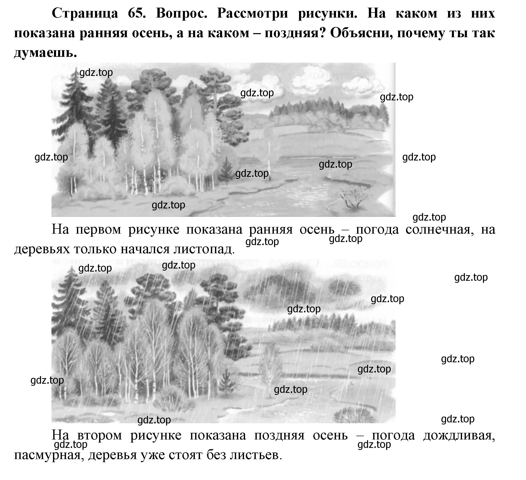 Решение номер 1 (страница 65) гдз по окружающему миру 2 класс Плешаков, Новицкая, учебник 1 часть