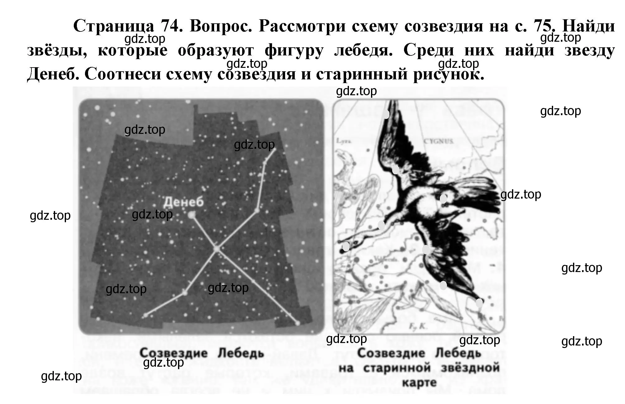 Решение номер 3 (страница 74) гдз по окружающему миру 2 класс Плешаков, Новицкая, учебник 1 часть