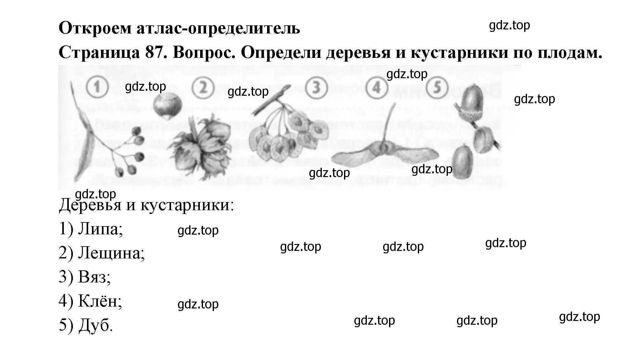 Решение номер Откроем атлас-определитель (страница 87) гдз по окружающему миру 2 класс Плешаков, Новицкая, учебник 1 часть