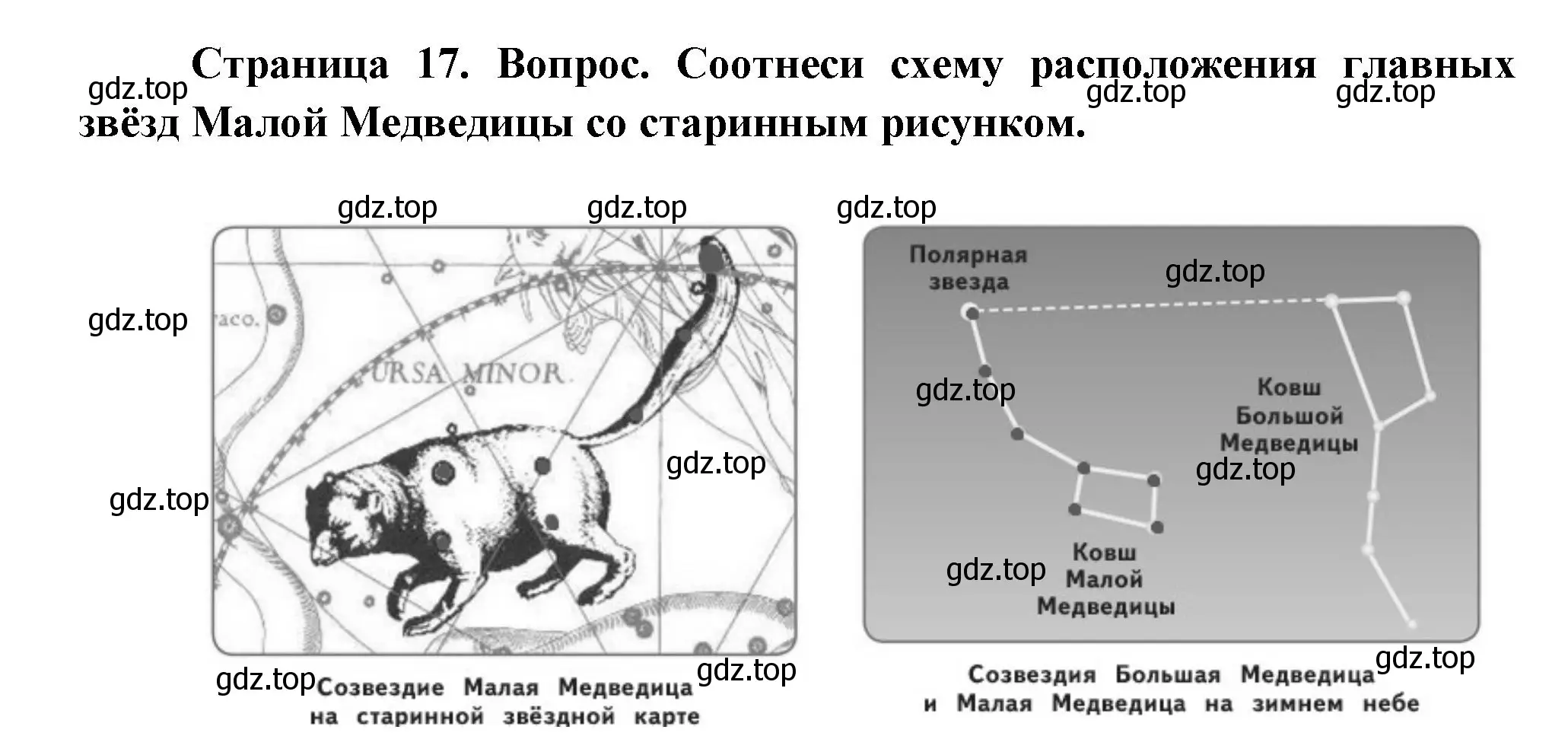 Решение номер 3 (страница 18) гдз по окружающему миру 2 класс Плешаков, Новицкая, учебник 2 часть