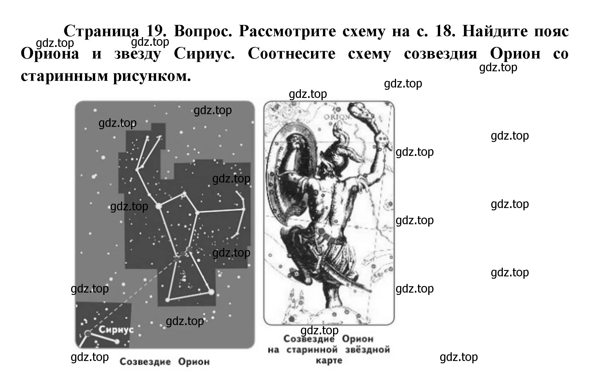 Решение номер 4 (страница 19) гдз по окружающему миру 2 класс Плешаков, Новицкая, учебник 2 часть