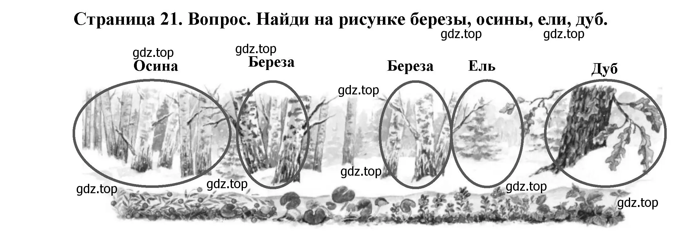 Решение номер 1 (страница 21) гдз по окружающему миру 2 класс Плешаков, Новицкая, учебник 2 часть