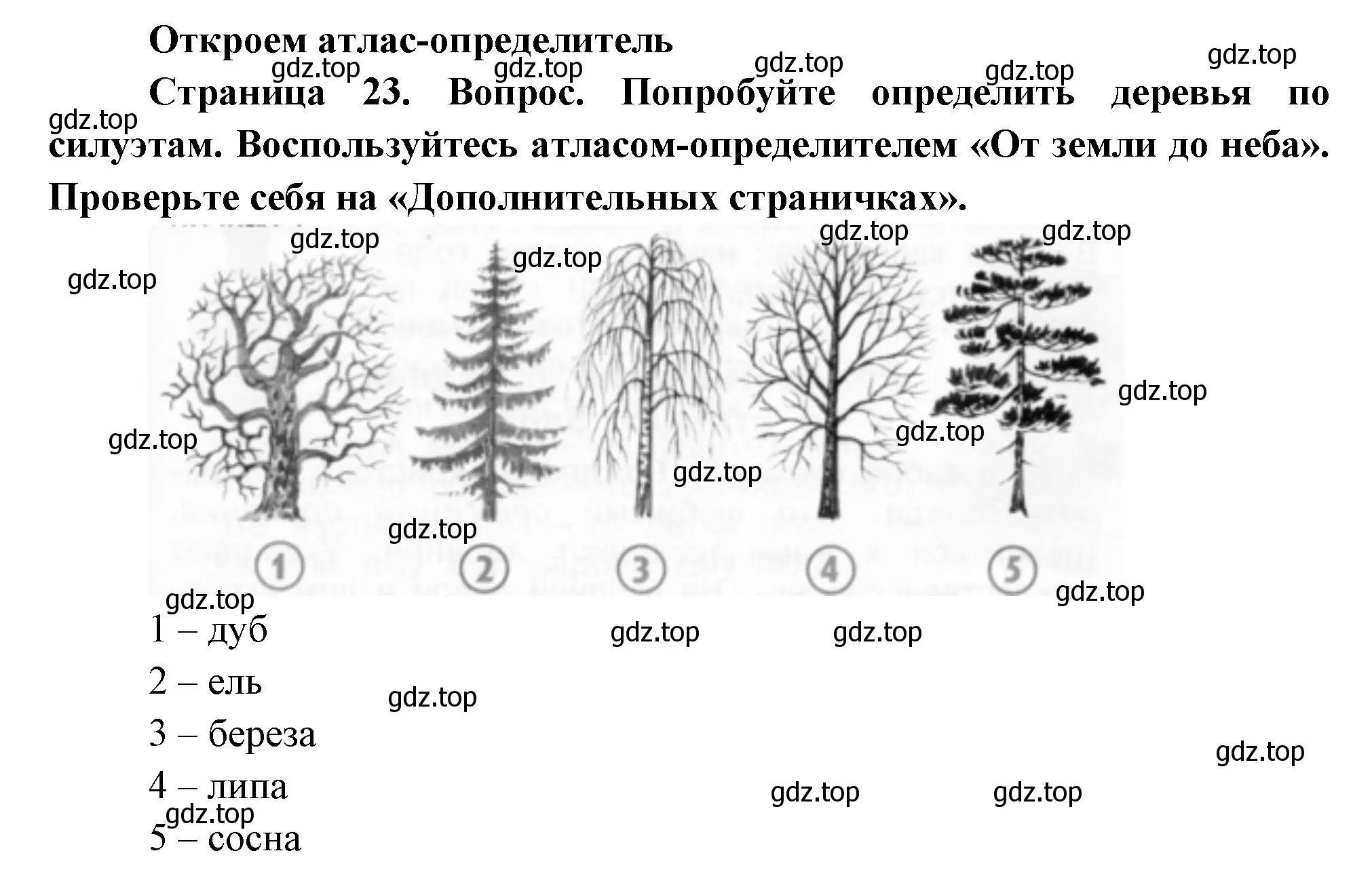 Решение номер Откроем атлас-определитель (страница 23) гдз по окружающему миру 2 класс Плешаков, Новицкая, учебник 2 часть