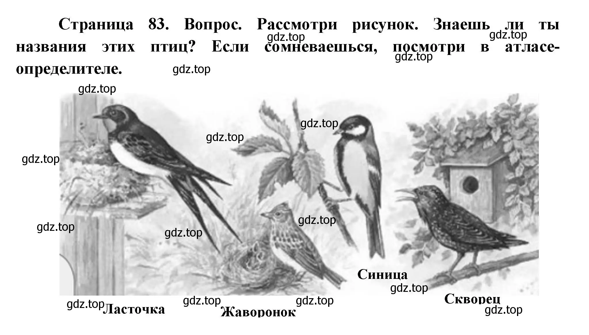 Решение номер 1 (страница 83) гдз по окружающему миру 2 класс Плешаков, Новицкая, учебник 2 часть