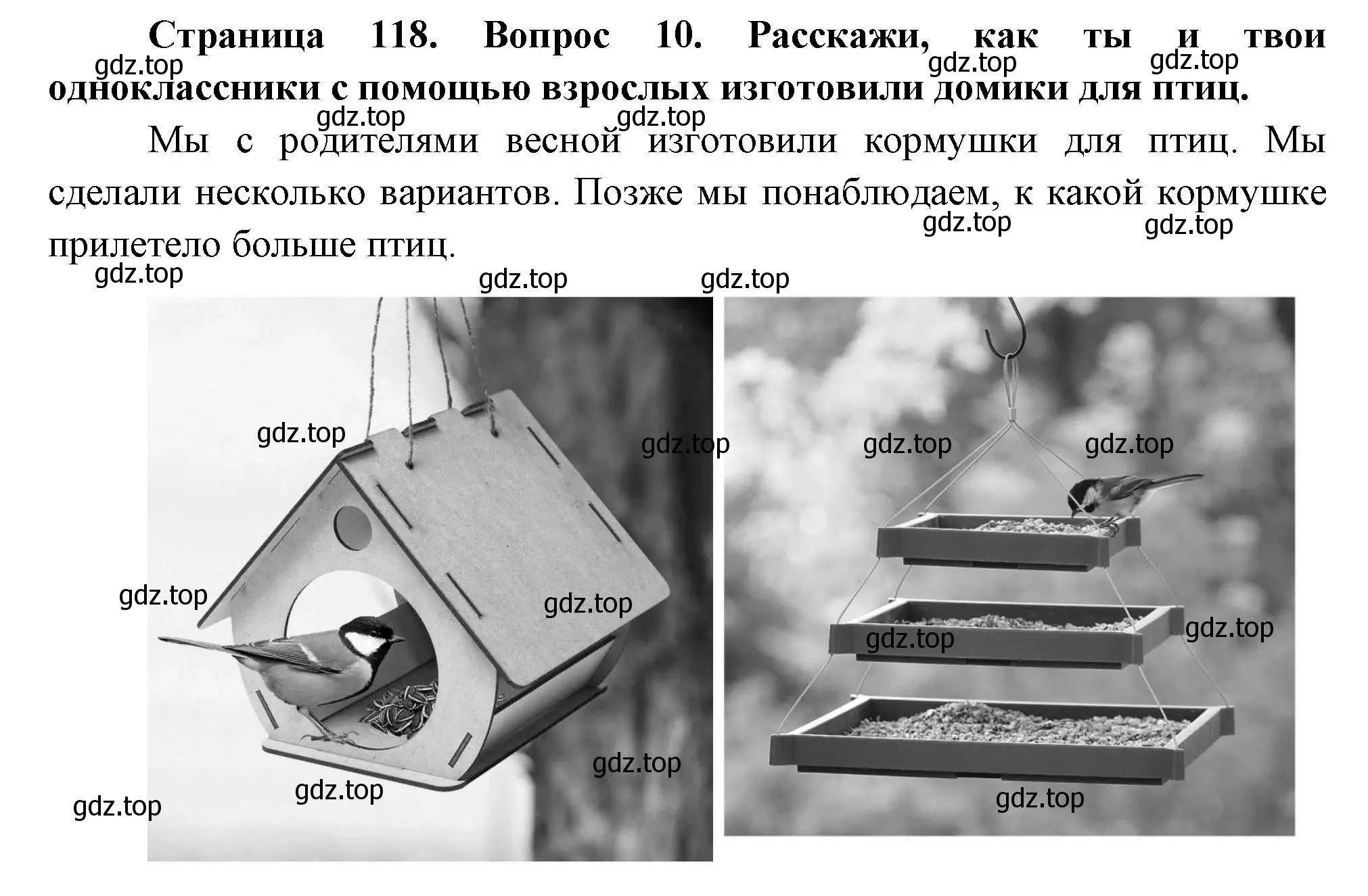 Решение номер 10 (страница 118) гдз по окружающему миру 2 класс Плешаков, Новицкая, учебник 2 часть