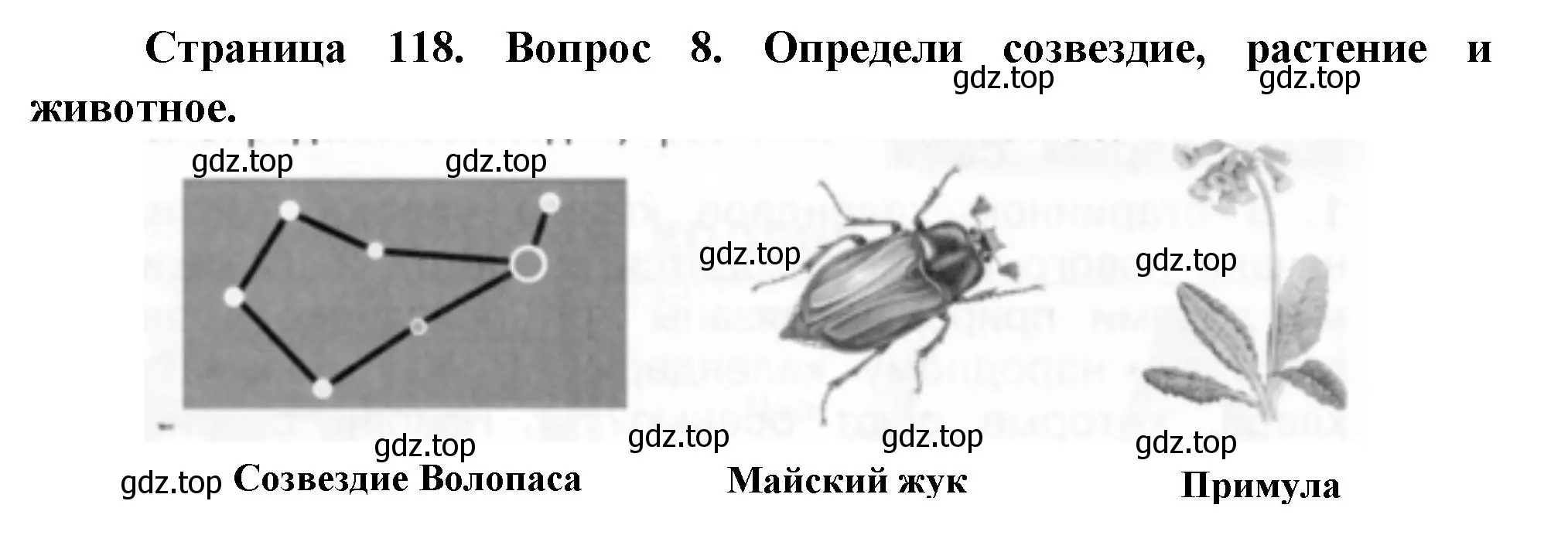 Решение номер 8 (страница 118) гдз по окружающему миру 2 класс Плешаков, Новицкая, учебник 2 часть