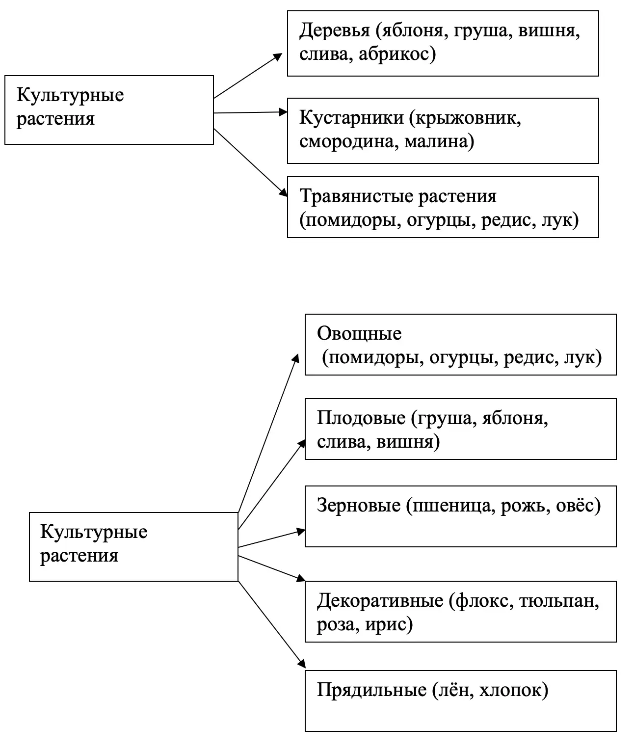 Культурные растения - окружающий мир 2 класс Плешаков