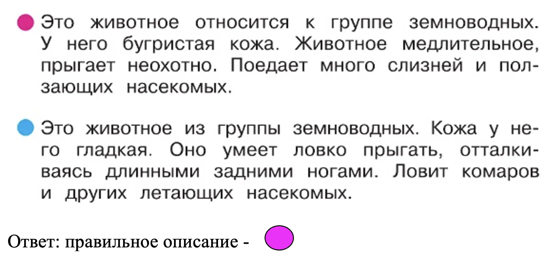 Выбери описание лягушки - окружающий мир 2 класс Плешаков