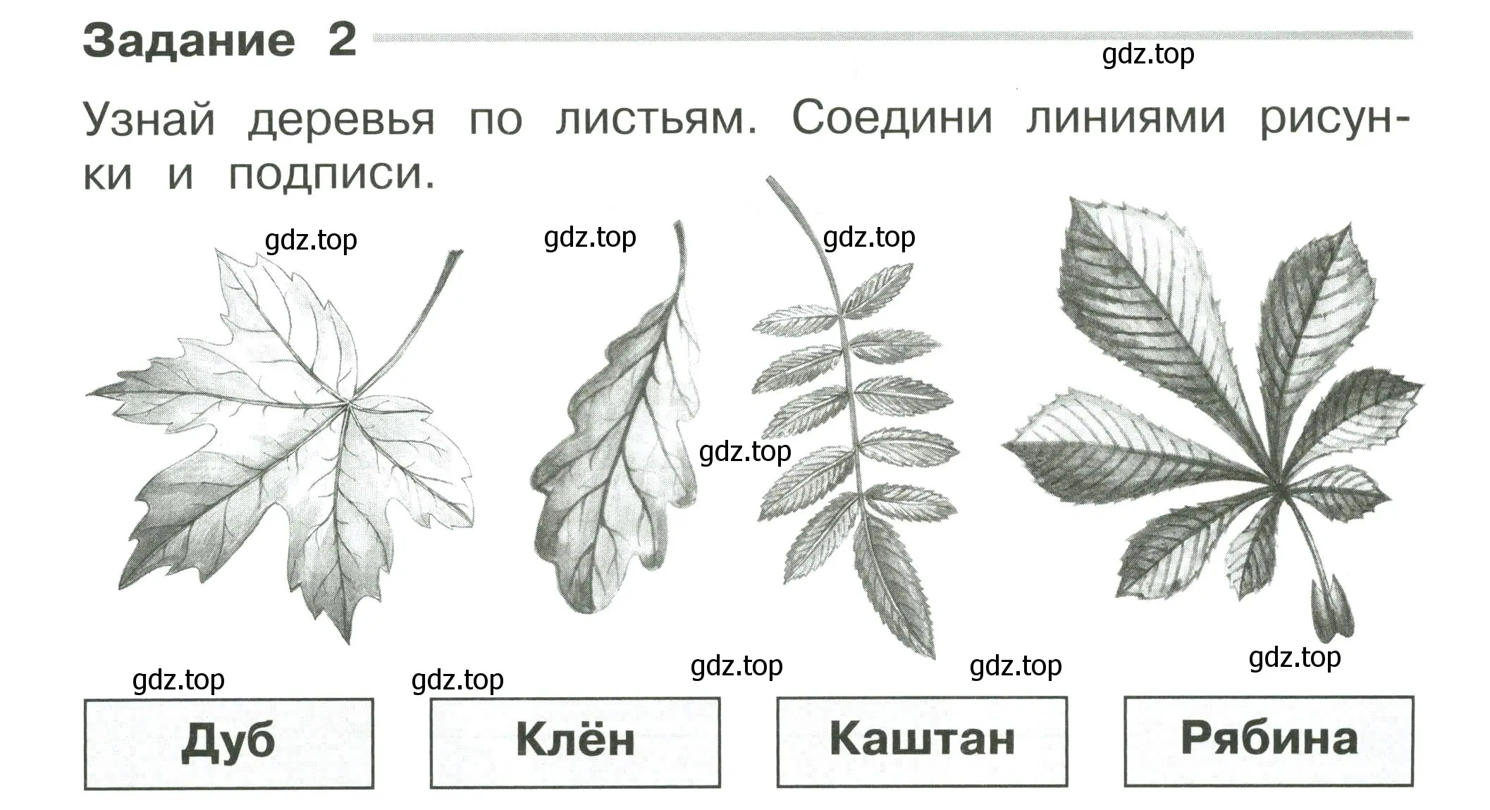 Условие номер 2 (страница 3) гдз по окружающему миру 2 класс Плешаков, Плешаков, проверочные работы