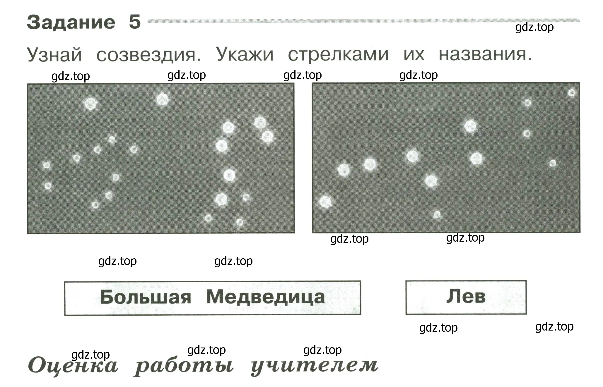 Условие номер 5 (страница 7) гдз по окружающему миру 2 класс Плешаков, Плешаков, проверочные работы