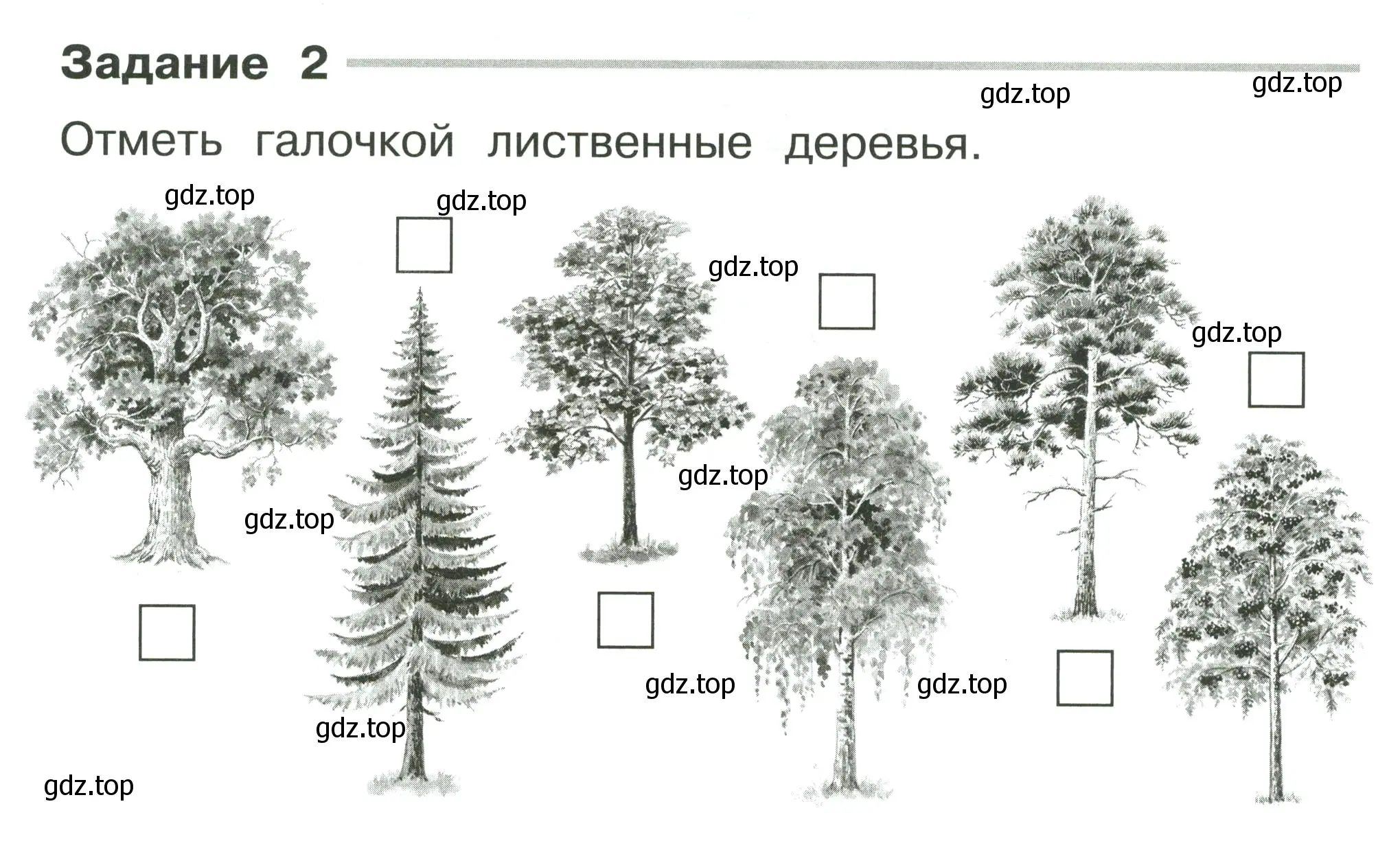 Условие номер 2 (страница 8) гдз по окружающему миру 2 класс Плешаков, Плешаков, проверочные работы