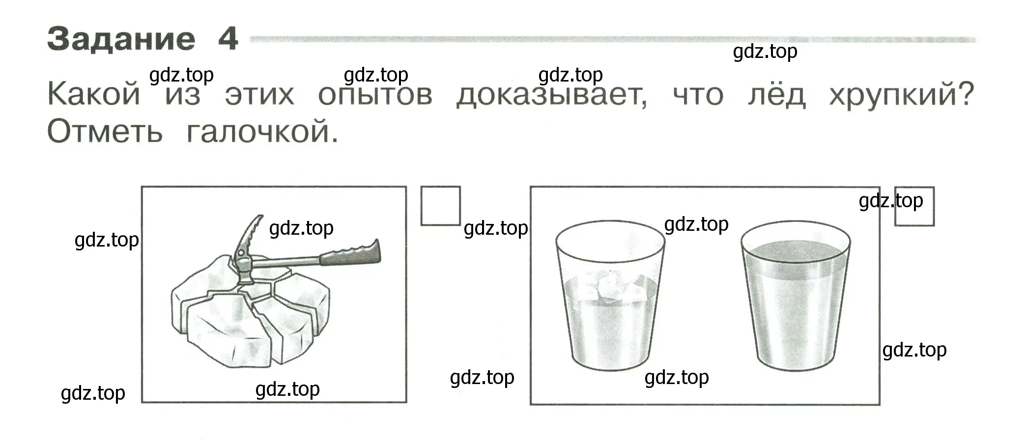 Условие номер 4 (страница 10) гдз по окружающему миру 2 класс Плешаков, Плешаков, проверочные работы