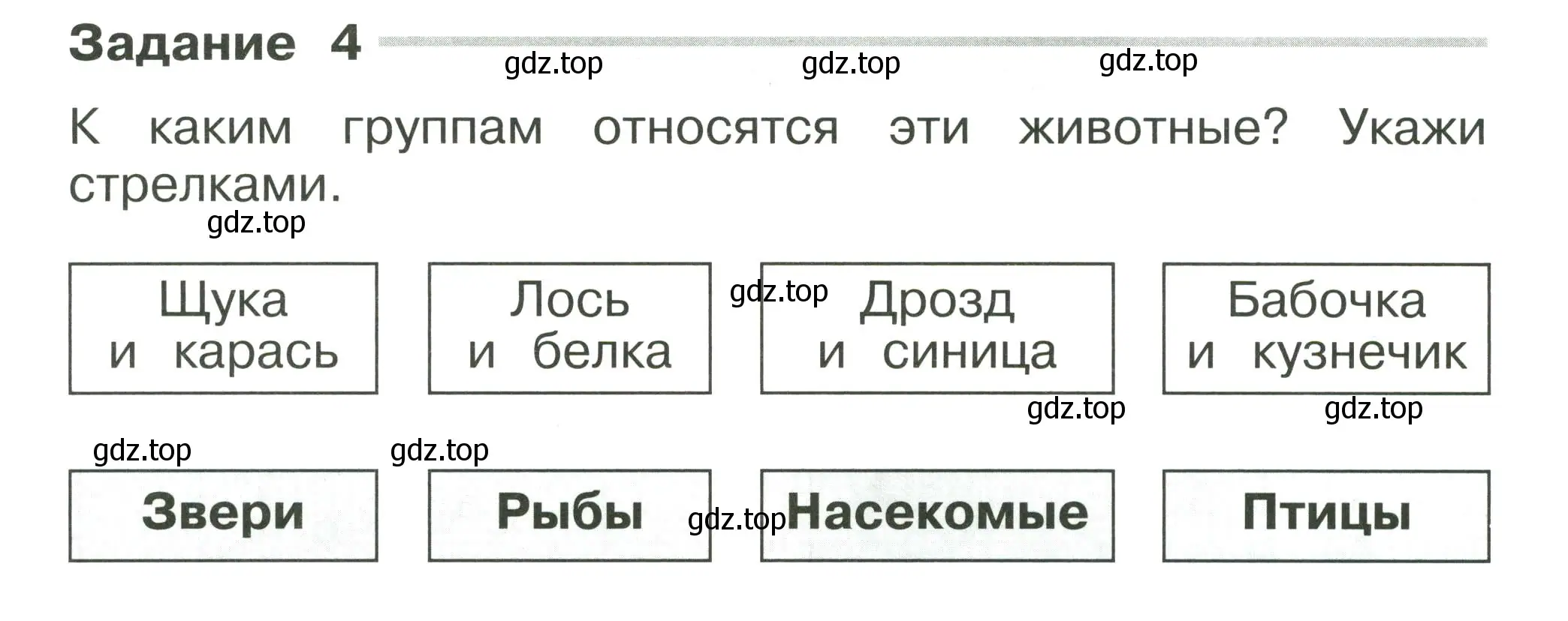 Условие номер 4 (страница 12) гдз по окружающему миру 2 класс Плешаков, Плешаков, проверочные работы